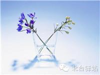 圖片48.jpg