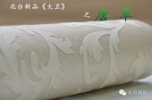 北臺新品《大衛》即將推出 (圖2)