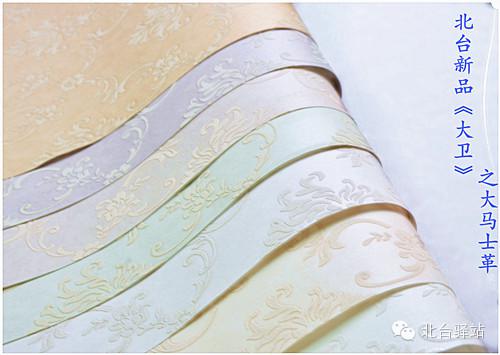 北臺新品《大衛》即將推出 (圖5)