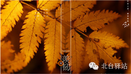 圖片78.png