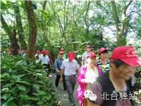 【北臺小二的留言】我又回來啦 (圖7)