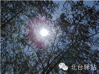 【北臺小二的留言】我又回來啦 (圖10)