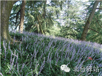 【北臺小二的留言】我又回來啦 (圖15)
