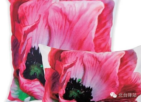 【北臺為您推薦】靠包——發區的鮮活動力(圖14)