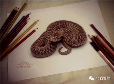 【北臺邀您欣賞】50個超逼真的3D繪畫作品（1）(圖6)