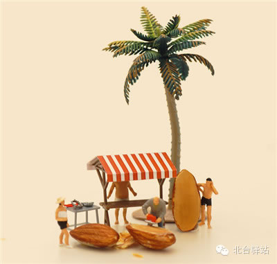 【北臺邀您欣賞】換個角度看世界(圖5)