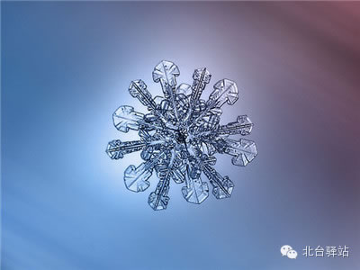 【北臺邀您欣賞】來自天國的花朵——雪花(圖1)