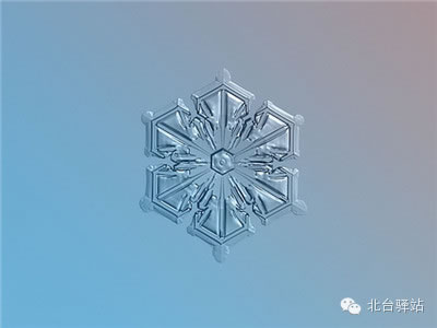 【北臺邀您欣賞】來自天國的花朵——雪花(圖4)