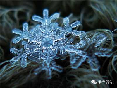 【北臺邀您欣賞】來自天國的花朵——雪花(圖3)