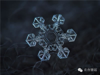 【北臺邀您欣賞】來自天國的花朵——雪花(圖9)