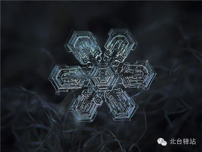 【北臺邀您欣賞】來自天國的花朵——雪花(圖10)