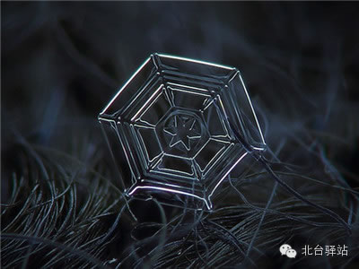 【北臺邀您欣賞】來自天國的花朵——雪花(圖11)
