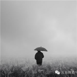 【北臺邀您欣賞】攝影師眼中的世界1 (圖6)