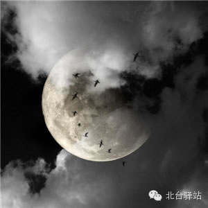 【北臺邀您欣賞】攝影師眼中的世界1 (圖12)