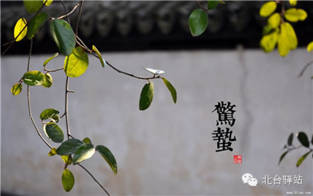 【北臺邀您欣賞】中國印象之節(jié)氣(圖2)