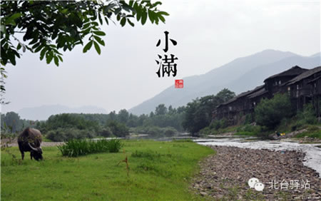【北臺邀您欣賞】中國印象之節(jié)氣(圖6)