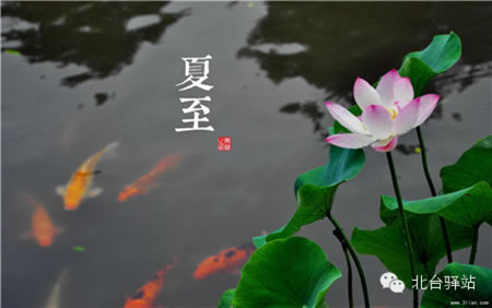 【北臺邀您欣賞】中國印象之節(jié)氣(圖7)