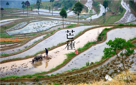 【北臺邀您欣賞】中國印象之節(jié)氣(圖10)