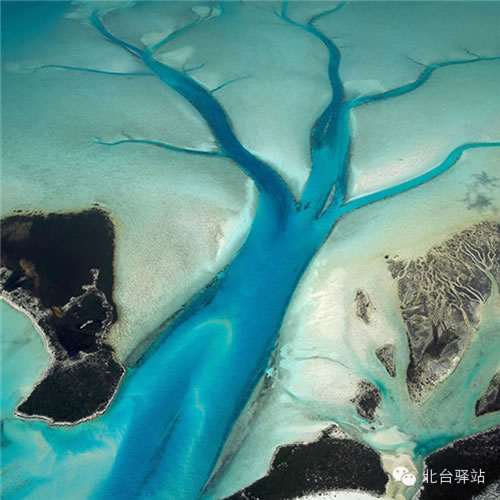 【北臺邀您欣賞】地球的色彩(圖15)