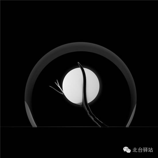 【北臺邀您欣賞】概念設計《樹上明月》(圖6)