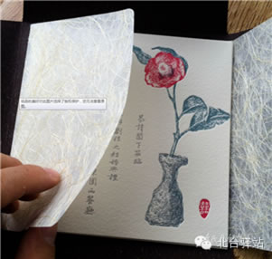 【北臺邀您共同鑒賞】一葉知霜冷，相依靜護(hù)花 (圖5)