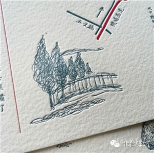 【北臺邀您共同鑒賞】一葉知霜冷，相依靜護(hù)花 (圖8)