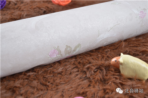 【北臺(tái)新品】《怒放》第六季 (圖3)