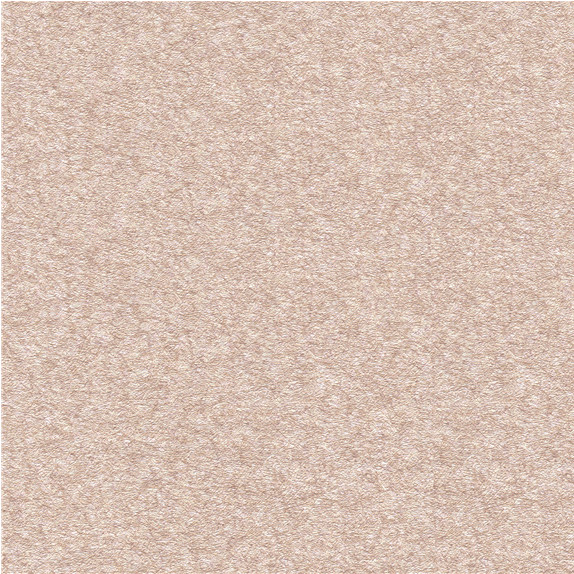 H79042