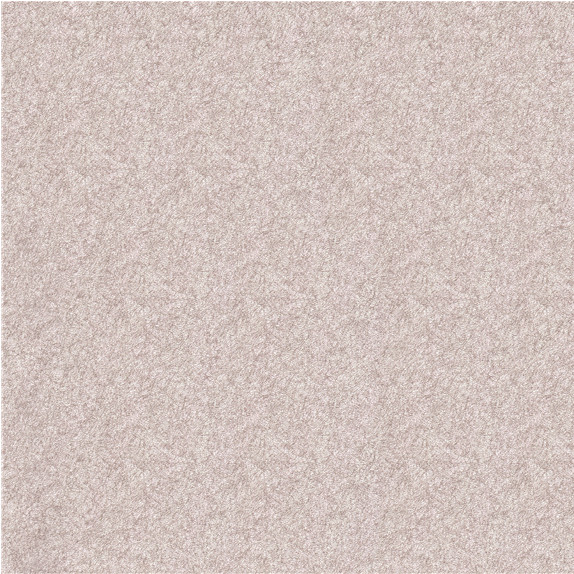 H79043