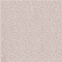 H79043