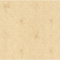 H36304