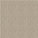 A5077
