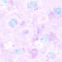 7L165